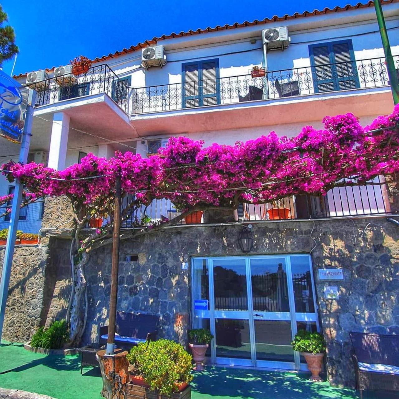 Hotel Bellavista 이스키아 외부 사진